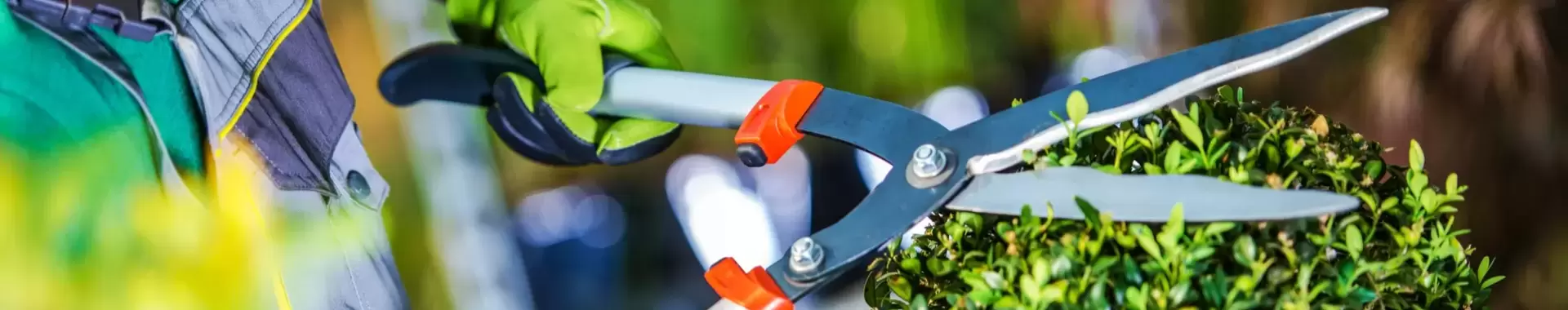 Tuingereedschap Tuingereedschap