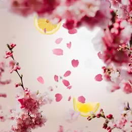 Cerisier en Fleurs 1L-Huisparfum-Lampe Berger - afbeelding 2