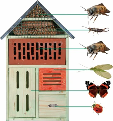 Insectenhotel met steen - afbeelding 2