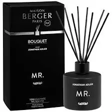 Mr. / Terre Sauvage 180ml Parfumverspreider met sticks - Lampe Berger