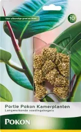 Portie kamerplanten tablet 10st - afbeelding 2