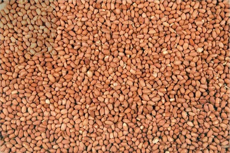 VERSELE-LAGA MENU NATURE Peanuts 2kg - afbeelding 2